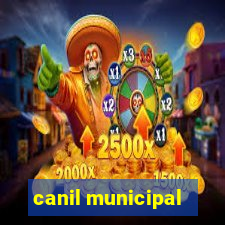 canil municipal